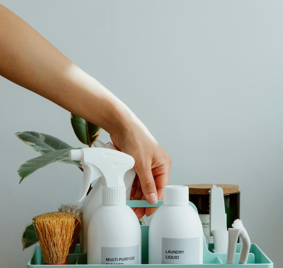 Hand holding teal cleaning caddy, white bottles labeled multi-purpose cleaner and laundry liquid, scrub brush, plant in background