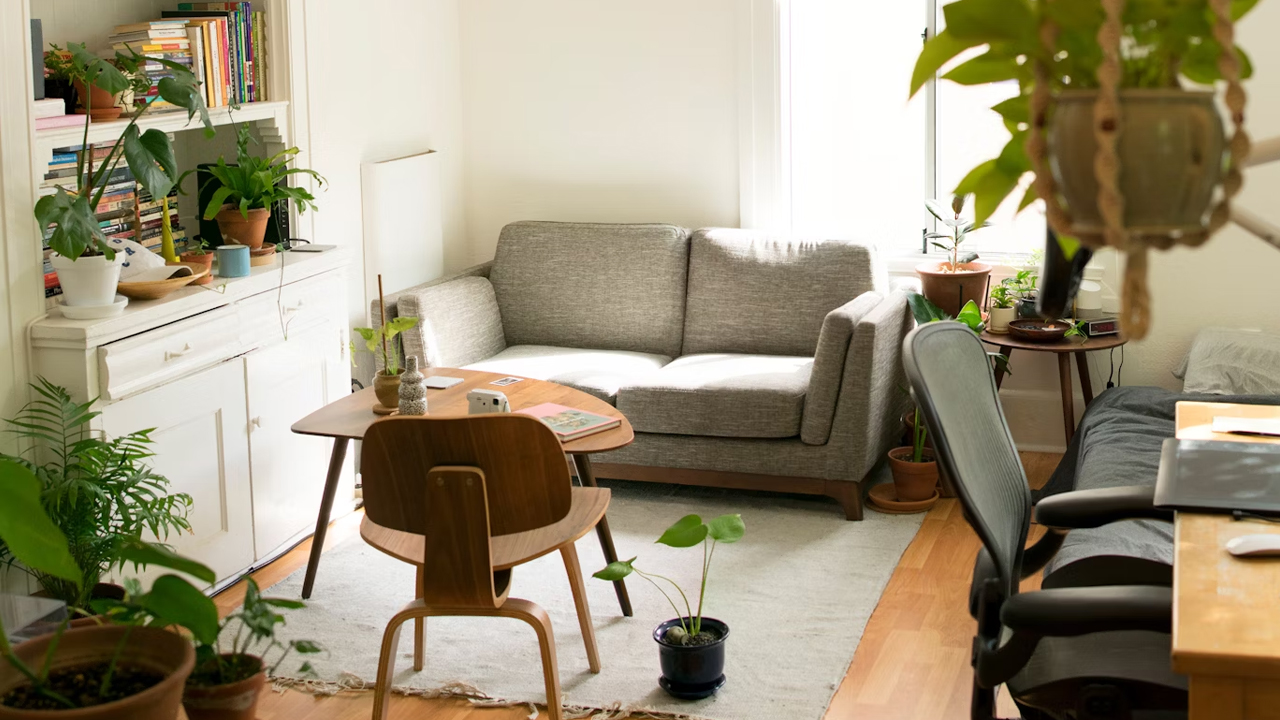 Cozy living room, grey sofa, wooden chairs and table, potted indoor plants, bookshelves with books and decor, natural light from window