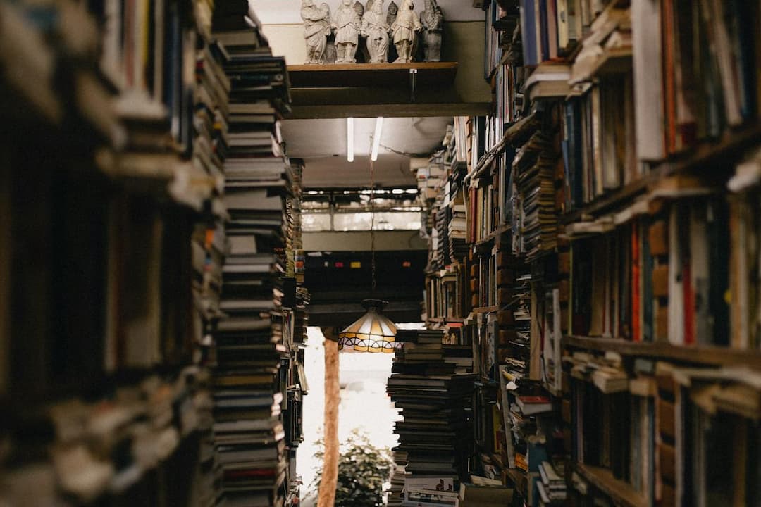 Narrow aisle between tall, overfilled bookshelves