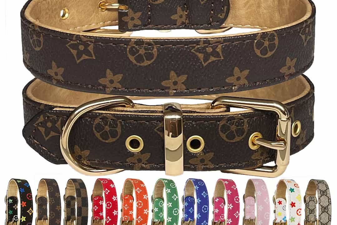 Designer-style dog collars with gold hardware, primary focus on brown monogram pattern, smaller row showing collars in various bright colors and prints