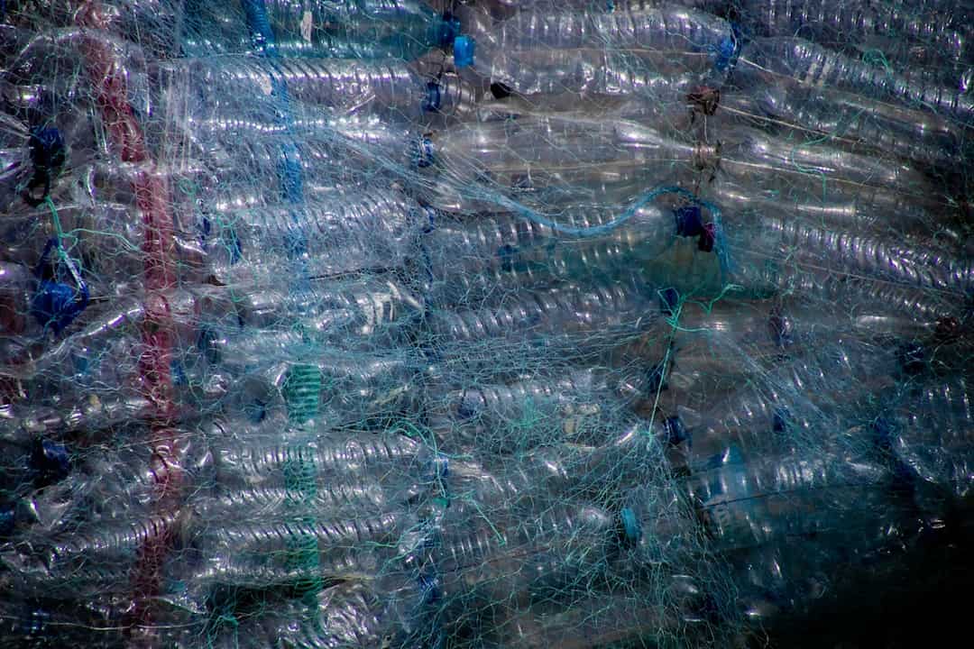 Stacked plastic bottles wrapped in blue netting
