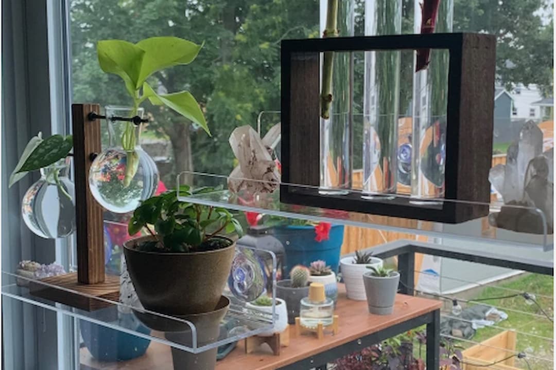 A variety of potted plants and glass hydroponic planters are displayed on clear glass shelves in a window recess, with more plants and crystals on a wooden shelf behind