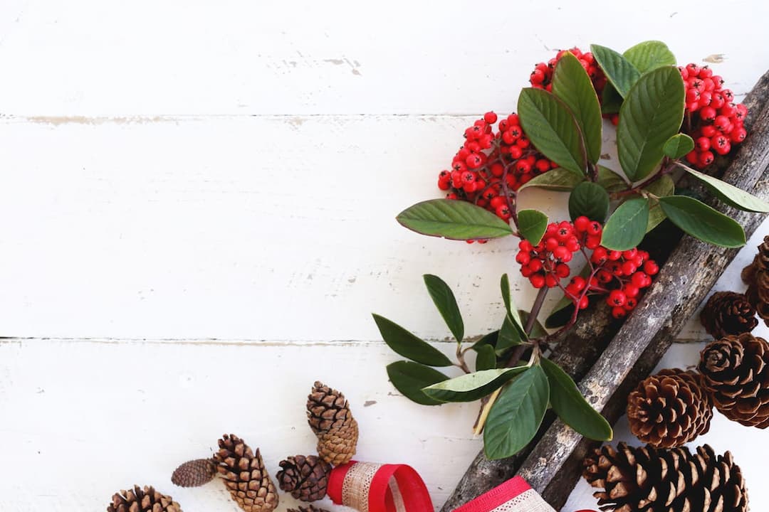 Pinecones, red berries, green leaves, and red ribbon on white wooden surface, arranged with a rustic wooden ladder for decoration